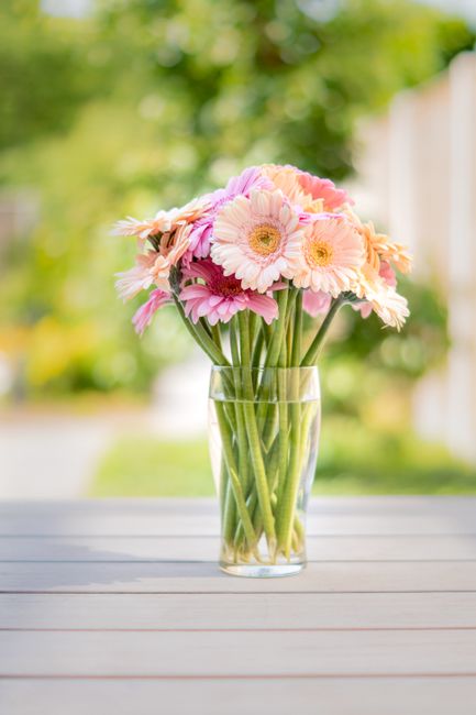 Fleur de Vie