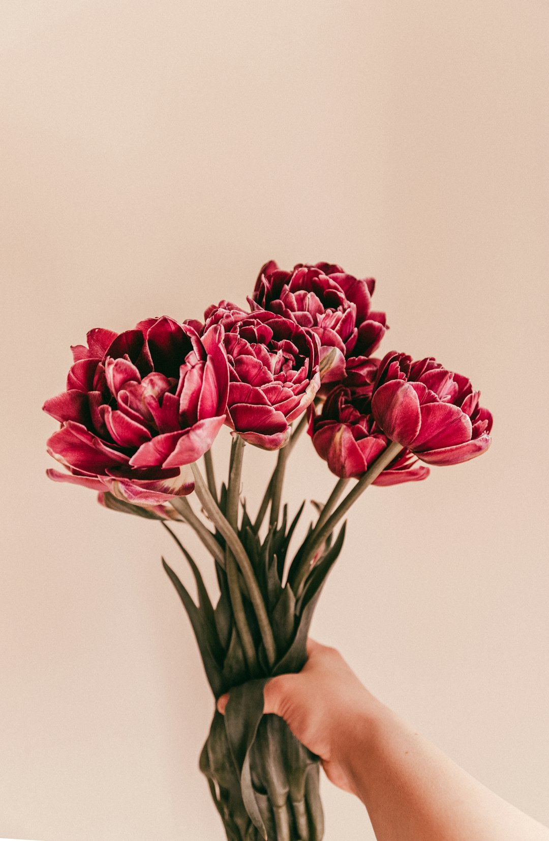 Nuage Rose