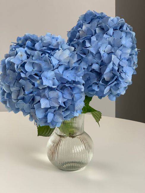 Nuance Bleue