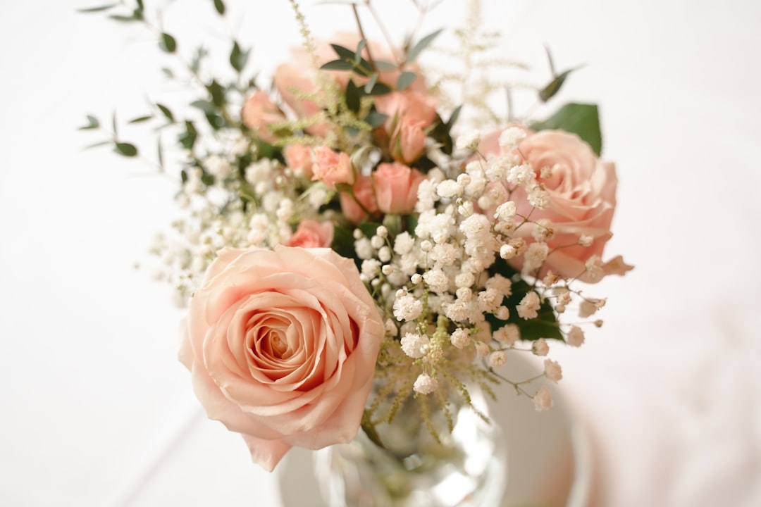 Nuptial Blanc