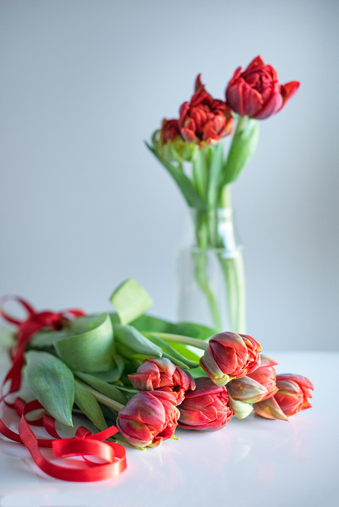 Printemps Fleuri