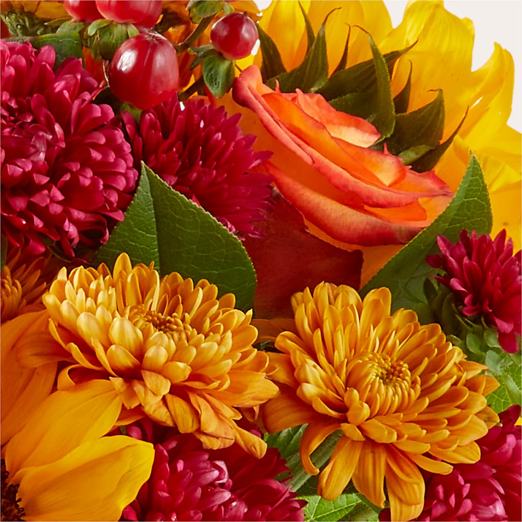 La saison des pulls – Un original de fleuriste