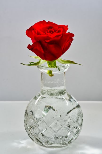 Secret d'Amour