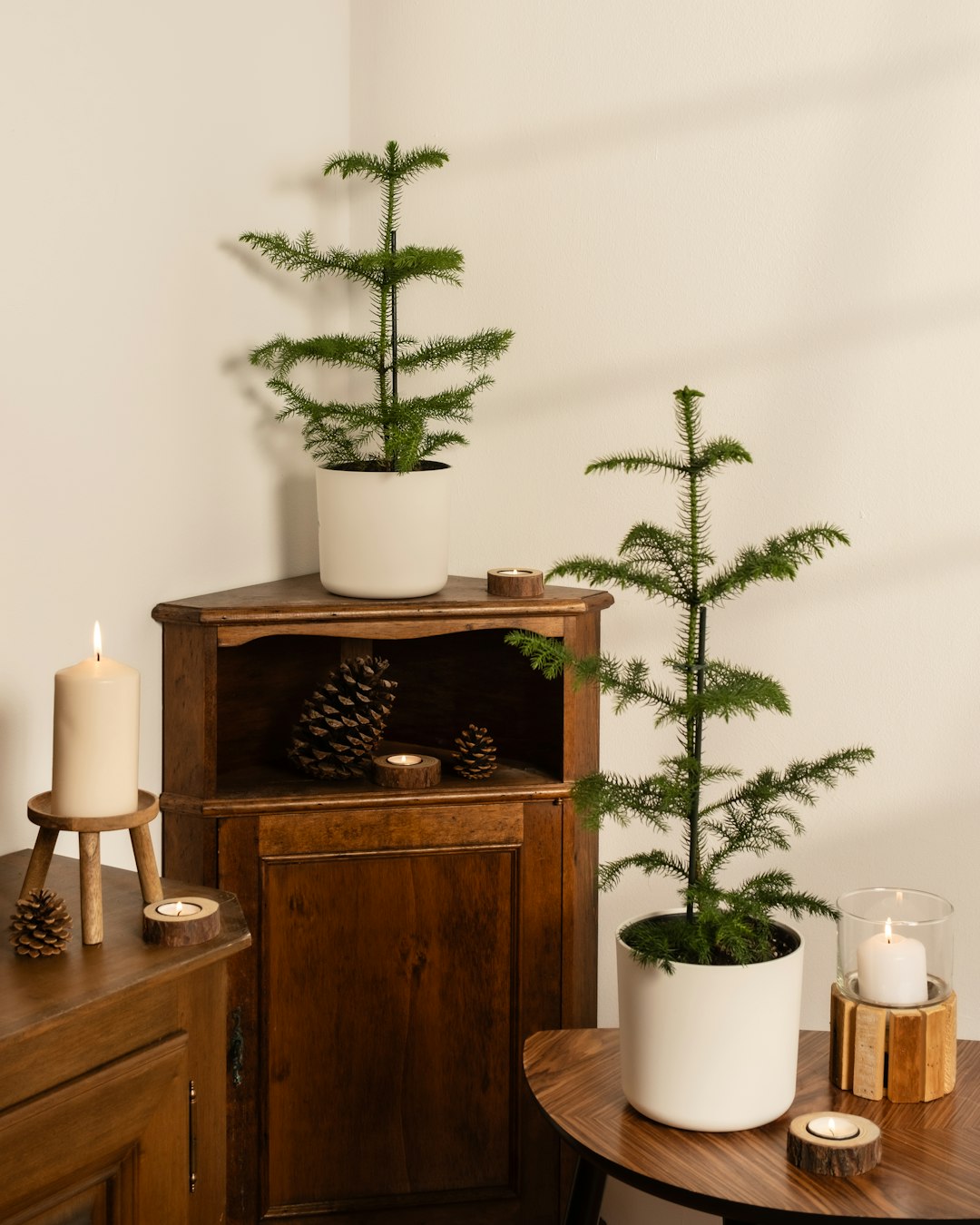 Sapin de Noël Grand